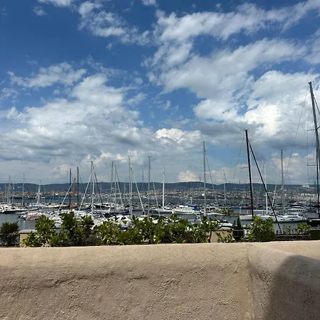 Gabriella Daire Múggia